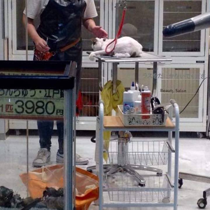 0aaf8ec6 330f 4ac8 91f0 52ec3ceaa3bb 1656946391726