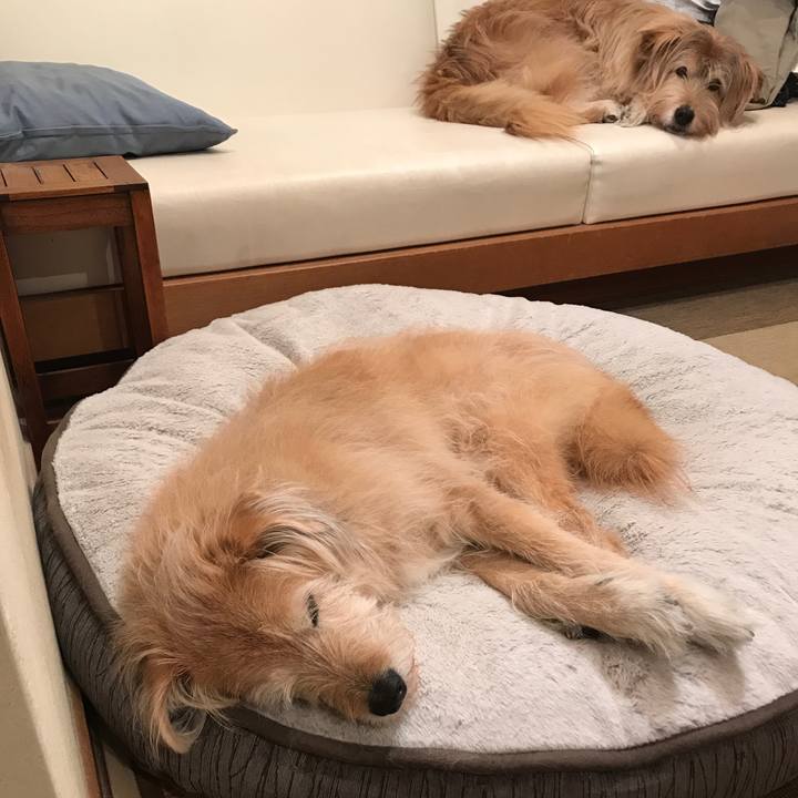 0aafc4a3 f623 4d65 9bc1 3c399d49873e 1580734442632