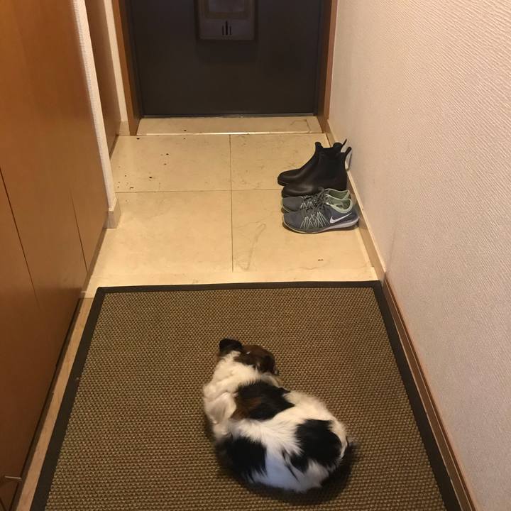 0aaff5d6 49af 4fa8 96a3 89eae635104a 1588208134390