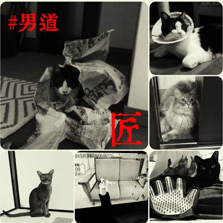 0ab010b5 d194 4e00 b317 5688974e6193 1568896899472