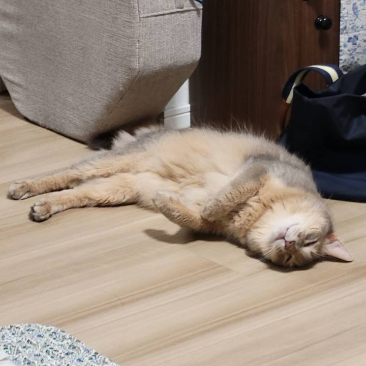 0ab018df 5b60 4d28 9d5e 1fe242766c0e 1660519702575