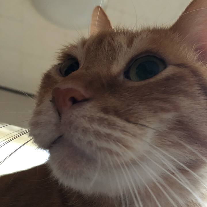 0ab03016 ff0b 46f6 891e 26e39bb49be5 1649969513098