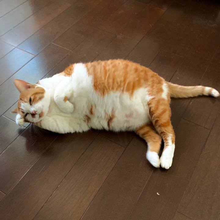 0ab04d78 5b4c 4f4b 8e3e b86550eb0df7 1664546766847