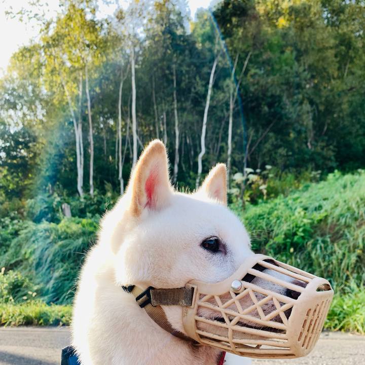 0ab05d62 48c7 43e5 bef1 3ea942ba3b5d 1631829625661