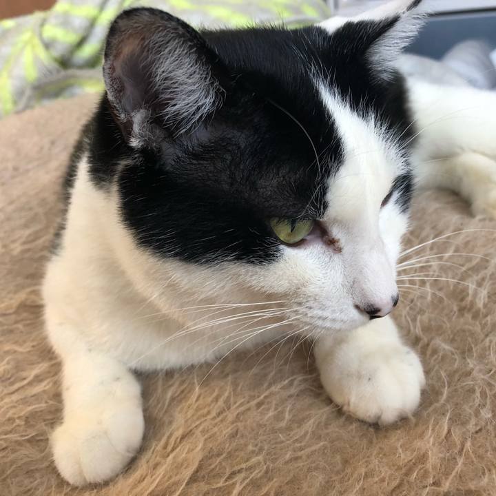 0ab0940e 554b 4305 a35c 2f7472170931 1547961438890