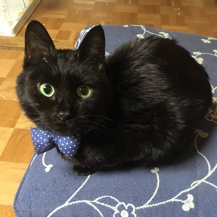 0ab0a2a3 e3a8 4b1c bd4b 1735f4100406 1552309053127