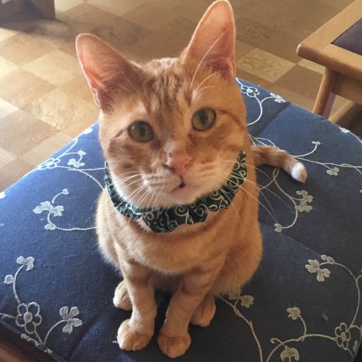 0ab0d257 3a36 49a5 a011 52f54f40beb1 1532243625577