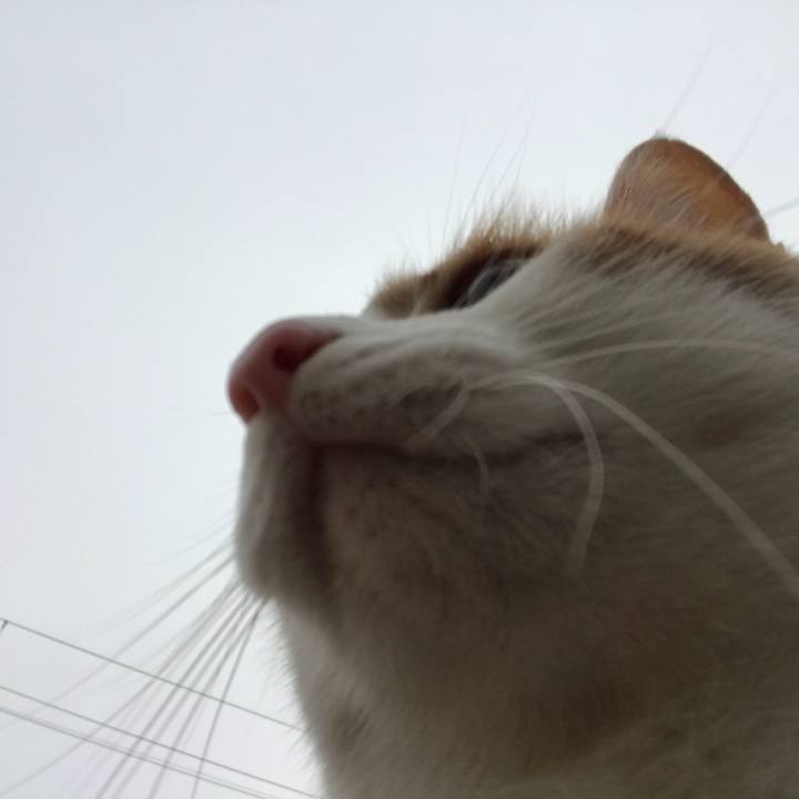 0ab0f95f 5d75 45c1 8f6d c491e05e7e35 1514077211557