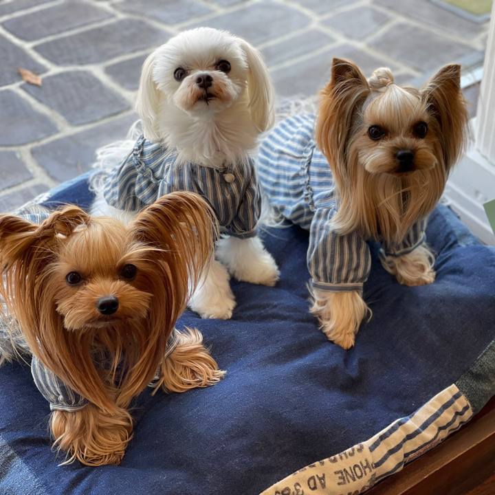 0ab14506 8c70 4e12 9dcd f82b5db66da6 1666794855954