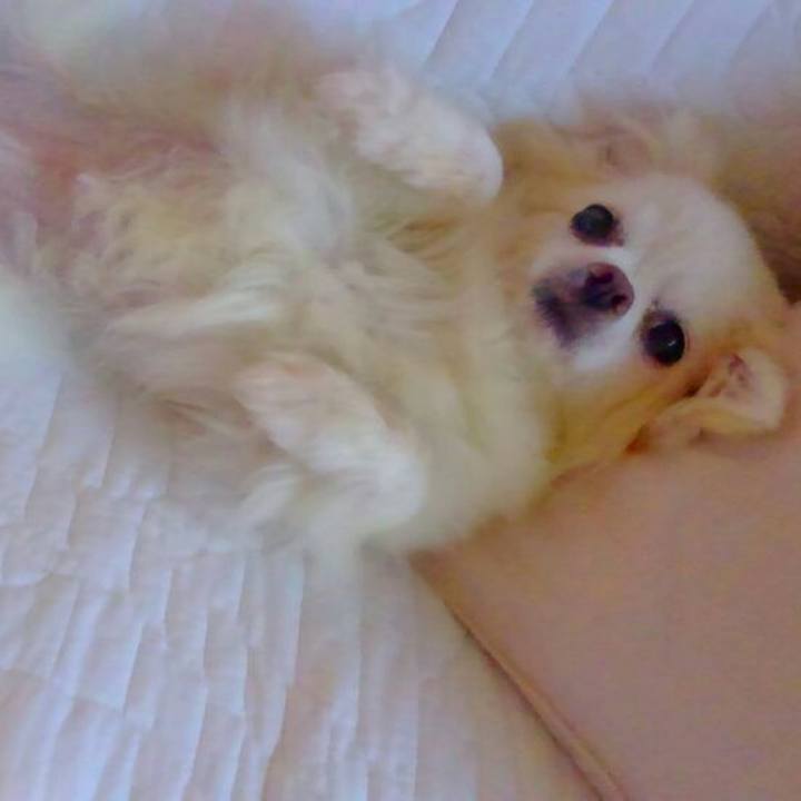 0ab14af1 1f5b 4366 9e2e dc872f3ee210 1534509623932