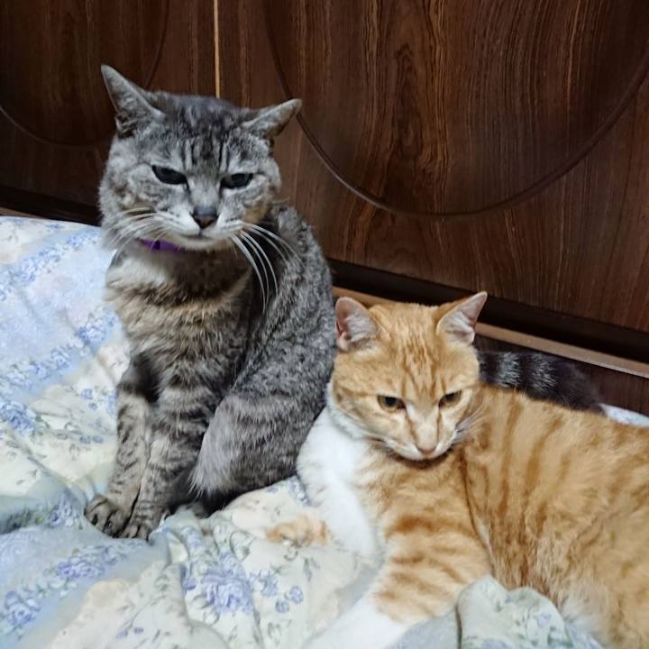 0ab14b52 faf3 45f9 a8f6 a4c4fbdd75b9 1590408776984