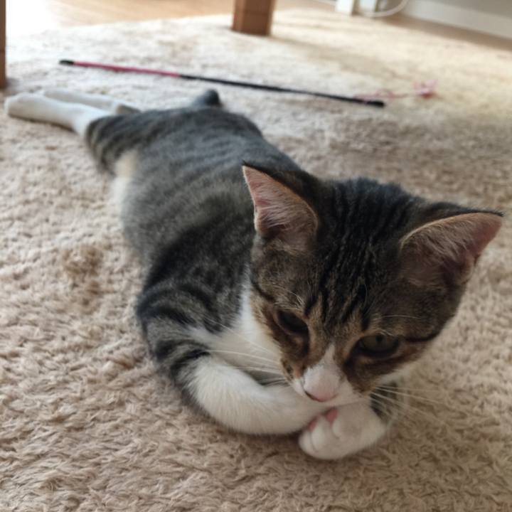 0ab18bbb 2b65 45e0 9bf4 75be02827639 1539096948752