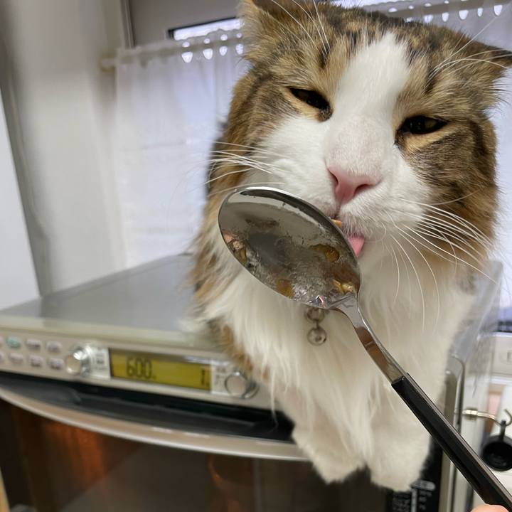 0ab196b5 6d56 4983 810e b9944745244d 1652127421372