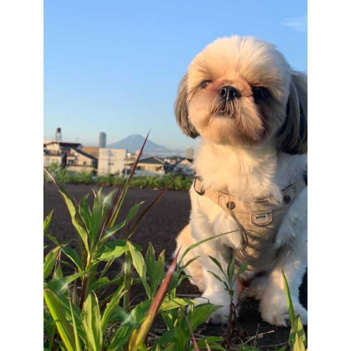 0ab1abe4 9444 4208 b12a 927b9d01ed20 1652524110033