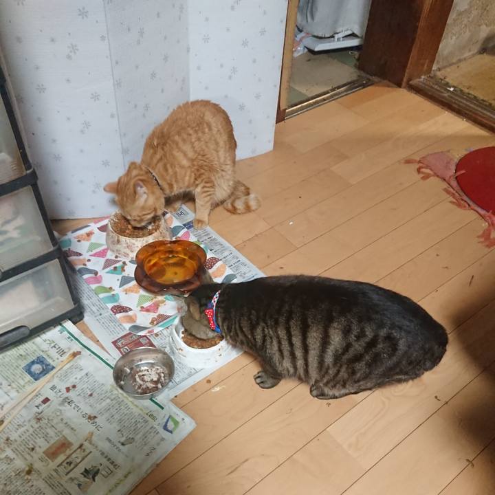 0ab1db54 f03e 4c54 bdc2 0ddc1e402ec5 1654169240959