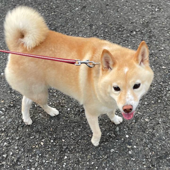 0ab1e398 197c 4aa9 bc2d 7448e3ab1c8a 1722457756308