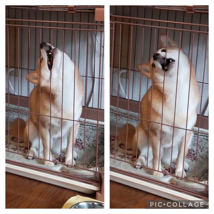 0ab1e3cf 72d6 4bf6 aa47 211082a68cca 1734418999078