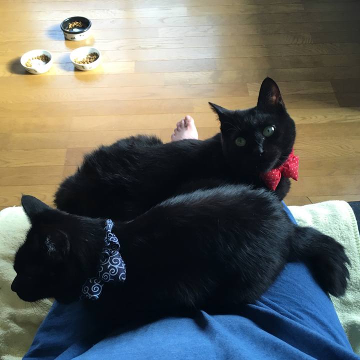 0ab1fb88 1c81 4483 abf3 b2907cdce878 1537051493847