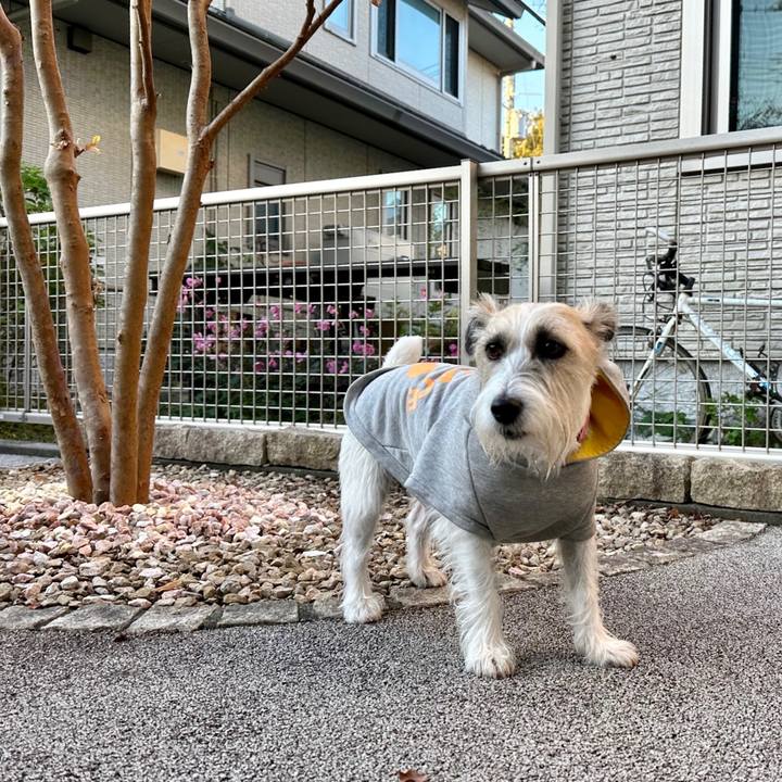 0ab1ff60 b5cf 45b7 be22 77c07540e1b3 1698292404594