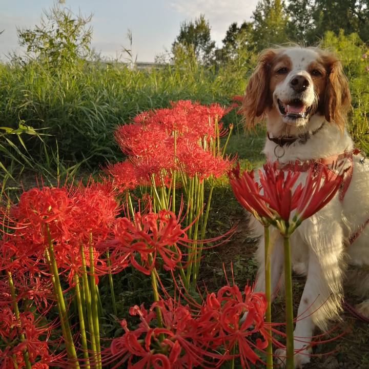 0ab1ff90 9a92 4811 82f3 855db31d290c 1632138906792