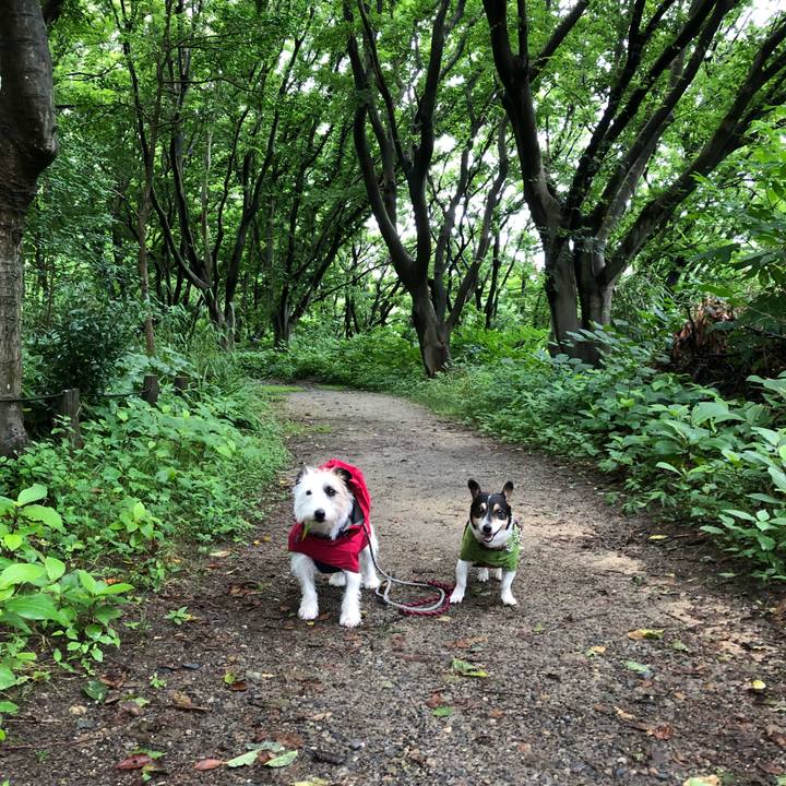 0ab20782 9823 4a63 95bb cfde9e35c239 1530918843951