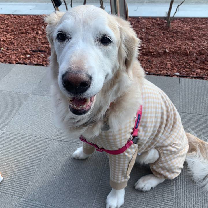 0ab21a79 7760 416a 94d3 39860033c7ed 1672550771974