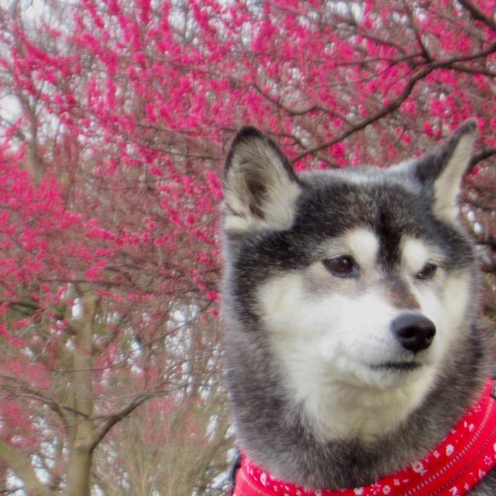 0ab25a7f e781 4c96 a538 96ed1f8ddaa8 1772756704300