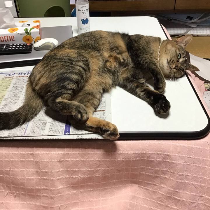 0ab25fcd 49c8 46b1 b897 905a5b92729e 1646348712403