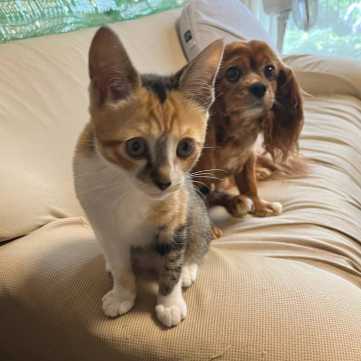 0ab27018 098c 43cf 9e85 f0aa6953dad4 1655935569004