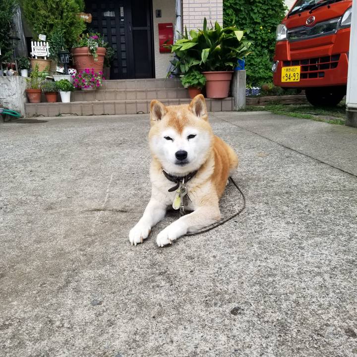 0ab2776a 3734 4bb9 9e14 ae27d00eb3b3 1696136302250