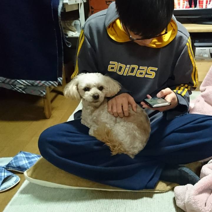 0ab2852f 993c 4b2f b177 8bceb61d35fb 1578922177741