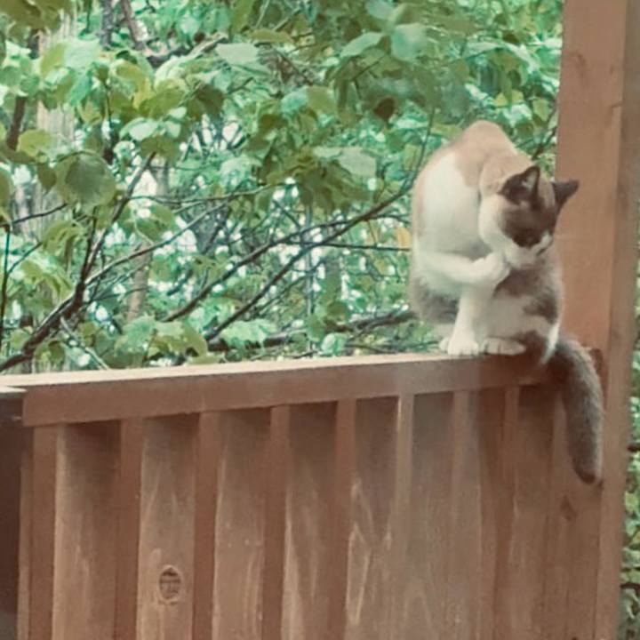 0ab28a4e 51b1 4d98 b74c a4571a2adcc6 1750680467054