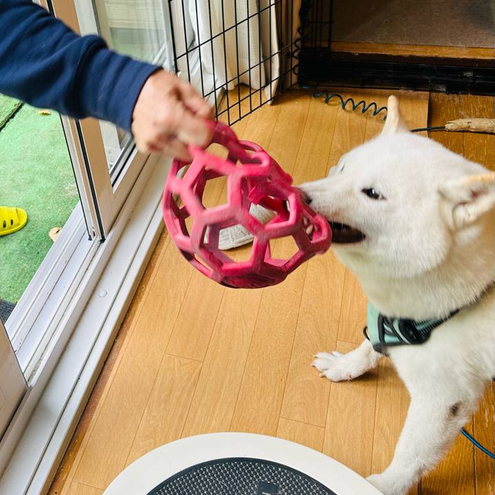 0ab2e271 5bd1 4c5c b98b 2d3ad3ebe953 1698876770591