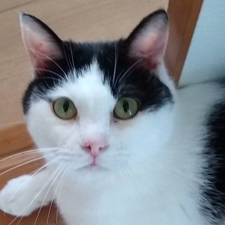 0ab2fb78 d421 4402 9f8e 7b382f66487c 1558956798810