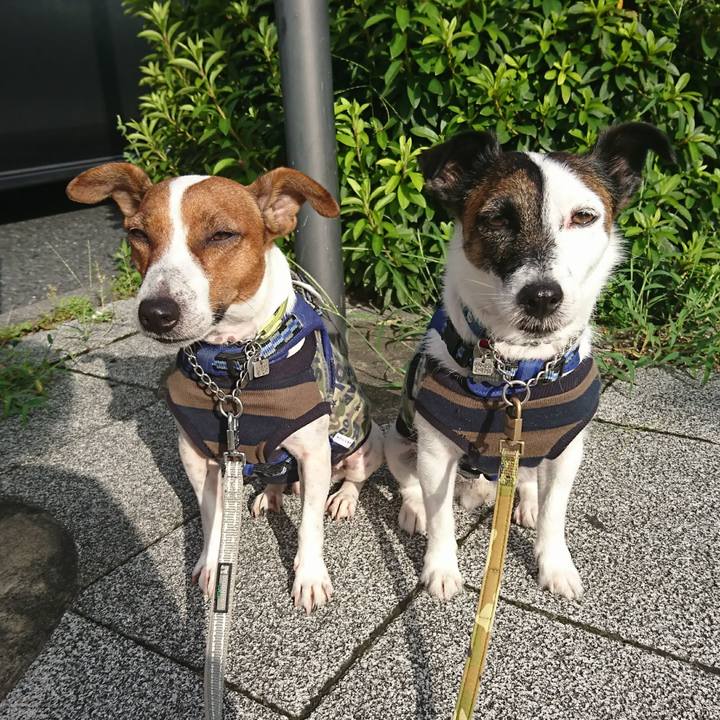 0ab317c2 6765 4f0a 9162 dddb087b296a 1596320027981