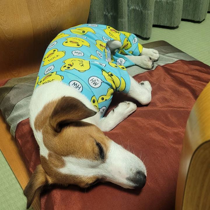 0ab32ae0 9010 4dd0 9788 095c6d7622cf 1659711207548