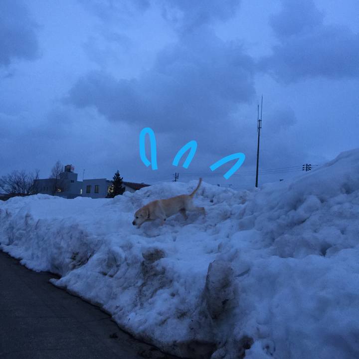 0ab33a9f 4e78 4f00 81bf 5cf37fdfcf4b 1519722616067