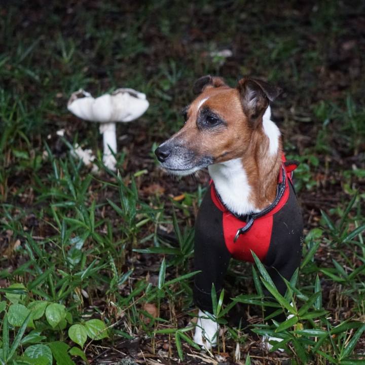 0ab357de 9731 4cd4 b952 1b110cd3d6a7 1537916205554