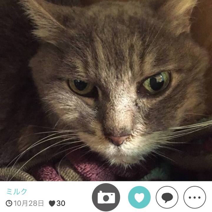 0ab359ef 9019 412c bdf4 38be757c4b17 1511691097642