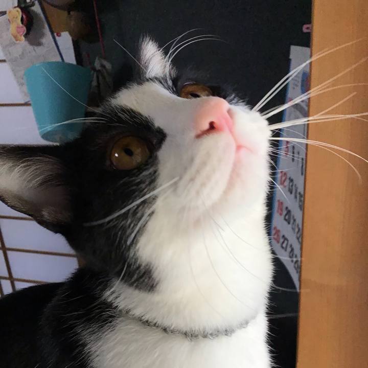 0ab35f2d 95f5 4e66 b8cc 90800ba9a8fe 1639807513348