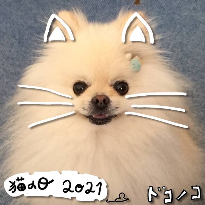 0ab38e05 1595 4106 8d44 ebf39d20efbb 1614047370250