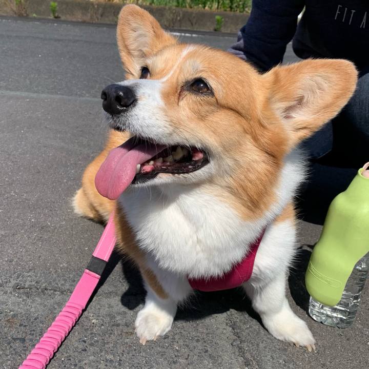 0ab3951d 39d0 49f5 93eb fa3ad9986bd9 1683678582943