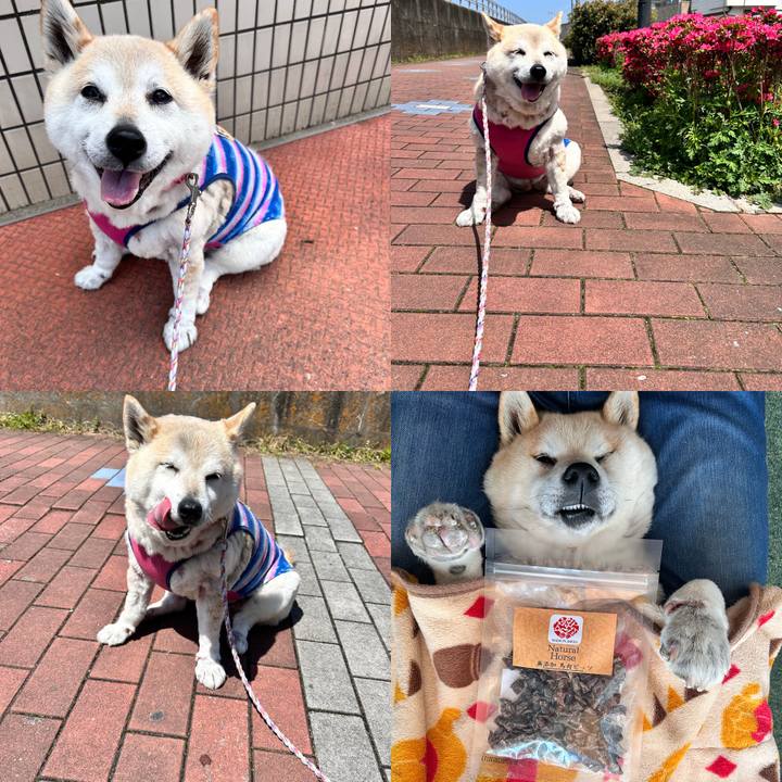 0ab3988c 0e43 46da aad3 c6a256d40c55 1744605382196