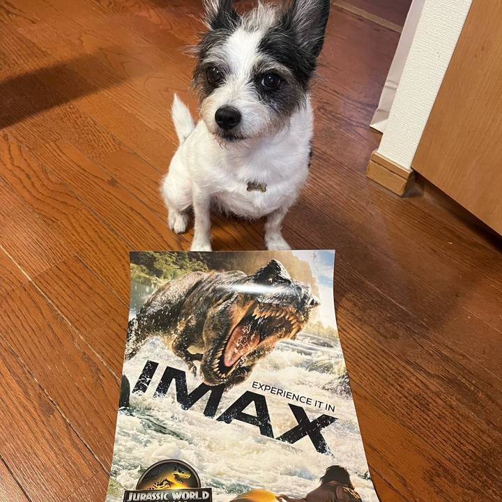 0ab3a56d c820 4a7d 9c8b c2e23d063cd3 1754911334272