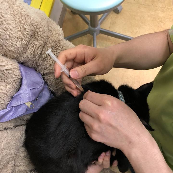 0ab3c847 39ff 490d 9cd1 943f0e256e3f 1520486529696