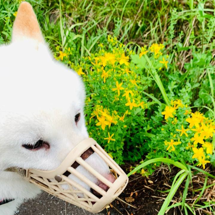 0ab3de4f cf35 4a7f aa03 d4ae98930f0d 1658782589536