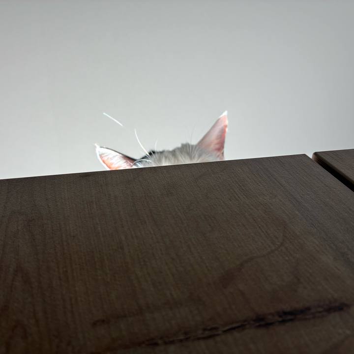 0ab412fc 290e 4a8d acb0 9ae50d747fa1 1770184427106