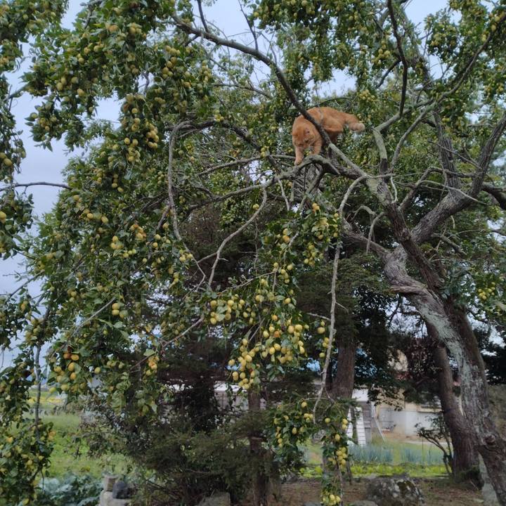 0ab413ae 6536 401a a9ec 3cf8621c4ff3 1695423956976