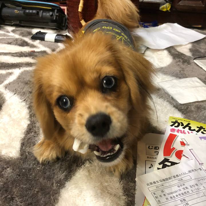 0ab433a5 a4b9 44e8 86dd 09e9dab47dec 1514238356952