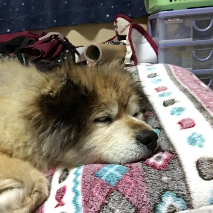 0ab446b5 d534 4b1b 9694 ab30892a5b58 1588638111926